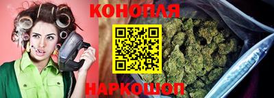шишки Коммунар