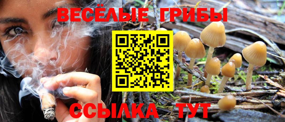 Псилоцибиновые грибы GOLDEN TEACHER  наркошоп  Галлюциногенные грибы Cubensis  Азнакаево  Вход с VPN 