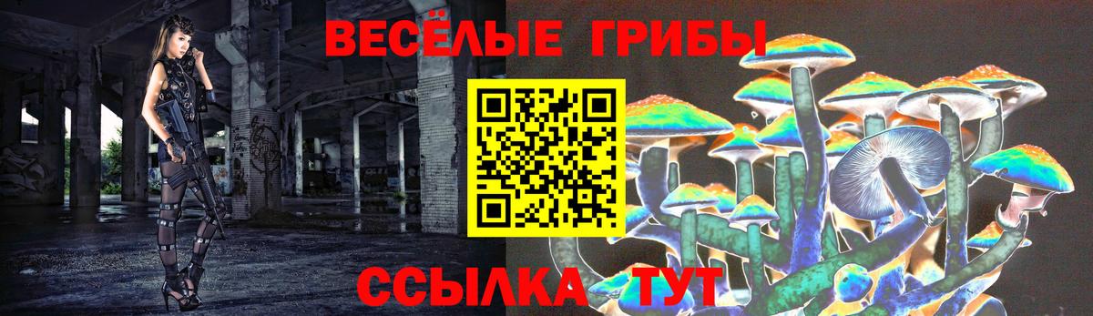 Галлюциногенные грибы MAGIC MUSHROOMS Азнакаево
